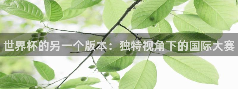 2026世预赛赛程表:世界杯的另一个版本:独特视角下的国际大赛