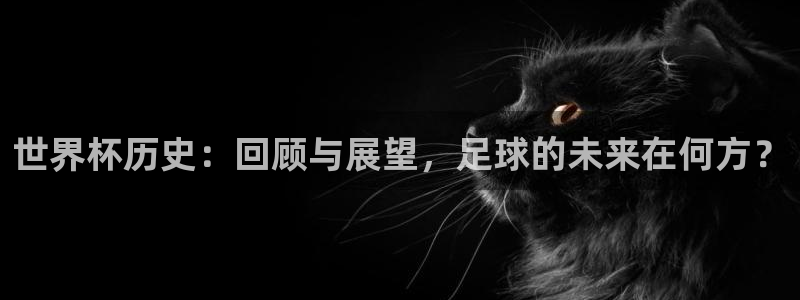 足球世界杯:世界杯历史:回顾与展望,足球的未来在何方?