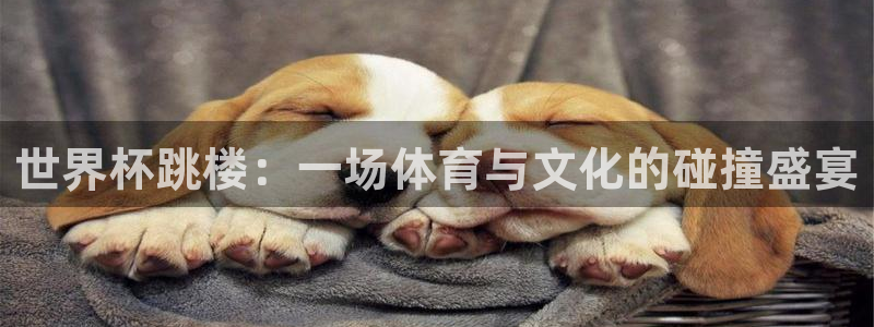世预赛欧洲赛程表:世界杯跳楼:一场体育与文化的碰撞盛宴